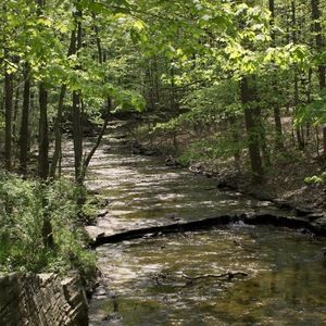 Meet your Posher, Regina